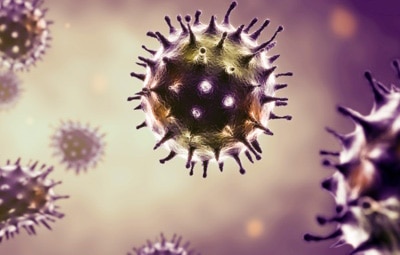 viral_stock_production